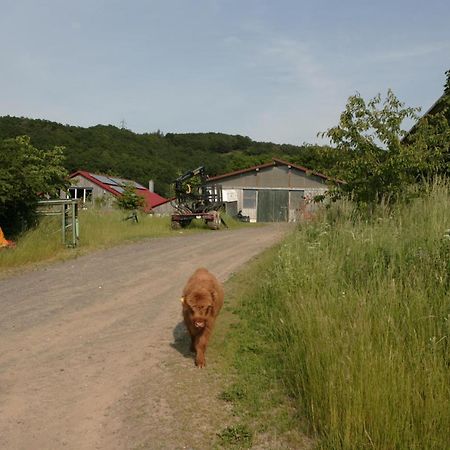 Апартаменты Rech Hof Urlaub Auf Dem Bauernhof Schalkenbach Экстерьер фото