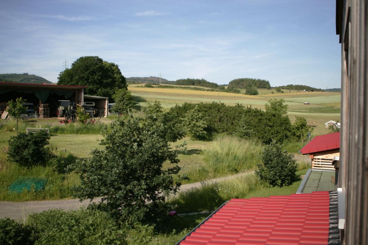 Апартаменты Rech Hof Urlaub Auf Dem Bauernhof Schalkenbach Экстерьер фото