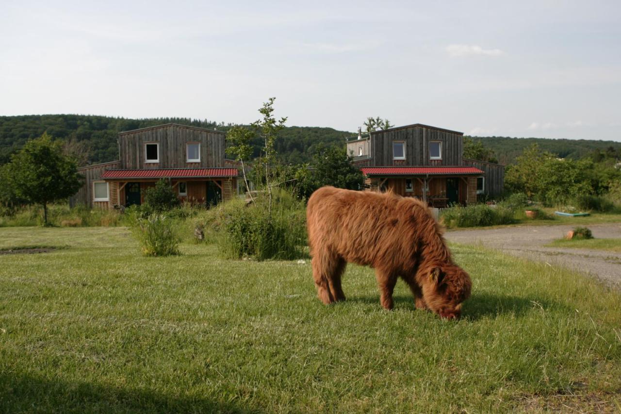 Апартаменты Rech Hof Urlaub Auf Dem Bauernhof Schalkenbach Экстерьер фото