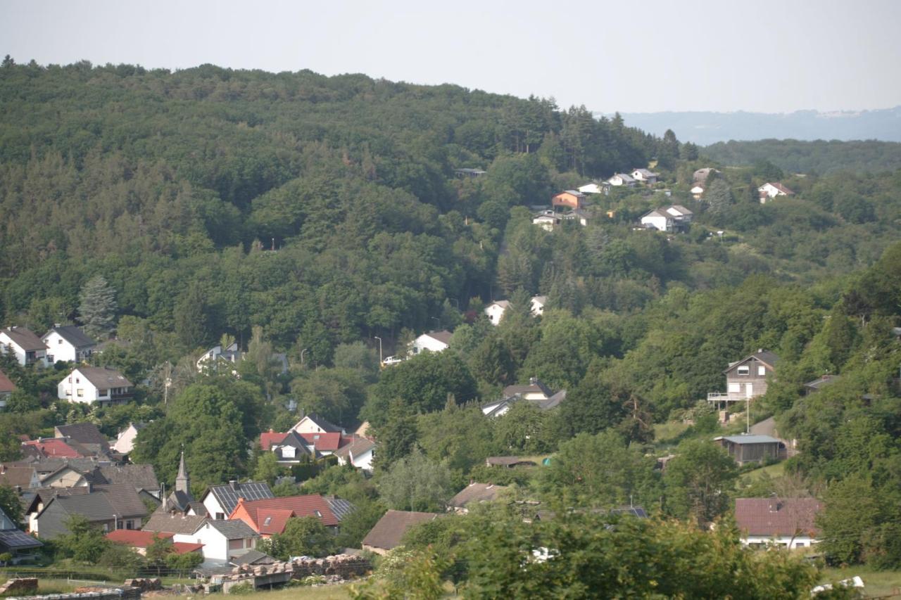 Апартаменты Rech Hof Urlaub Auf Dem Bauernhof Schalkenbach Экстерьер фото