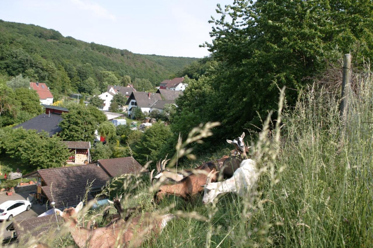 Апартаменты Rech Hof Urlaub Auf Dem Bauernhof Schalkenbach Экстерьер фото